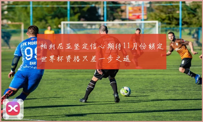 帕利尼亚坚定信心期待11月份锁定世界杯资格只差一步之遥