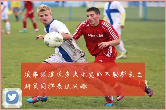 埃弗顿追求多夫比克那不勒斯米兰科莫同样表达兴趣