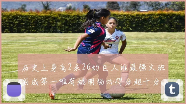 历史上身高2米26的巨人谁最强文班或成第一唯有姚明场均得分超十分