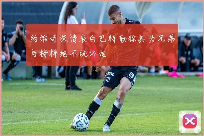 约维奇深情表白巴特勒称其为兄弟与榜样绝不说坏话