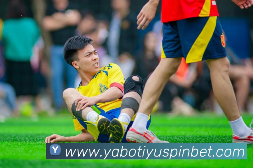 奖项图2